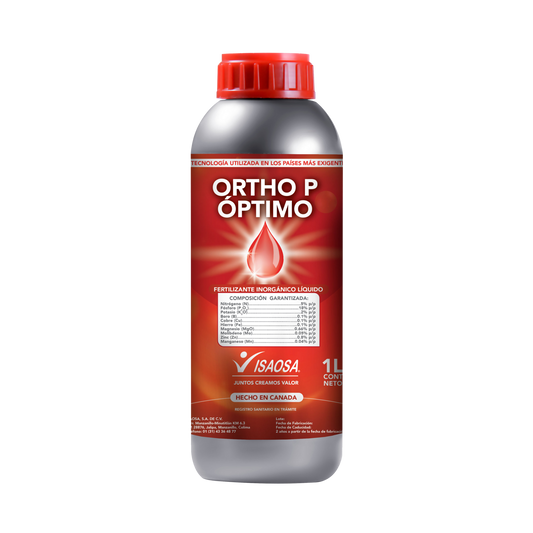 Ortho P Óptimo