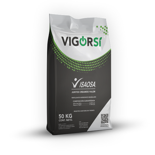 VigorSi